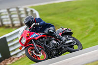 Oulton-Park-20th-March-2020;PJ-Motorsport-Photography-2020;anglesey;brands-hatch;cadwell-park;croft;donington-park;enduro-digital-images;event-digital-images;eventdigitalimages;mallory;no-limits;oulton-park;peter-wileman-photography;racing-digital-images;silverstone;snetterton;trackday-digital-images;trackday-photos;vmcc-banbury-run;welsh-2-day-enduro